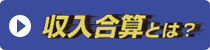 収入合算とは？